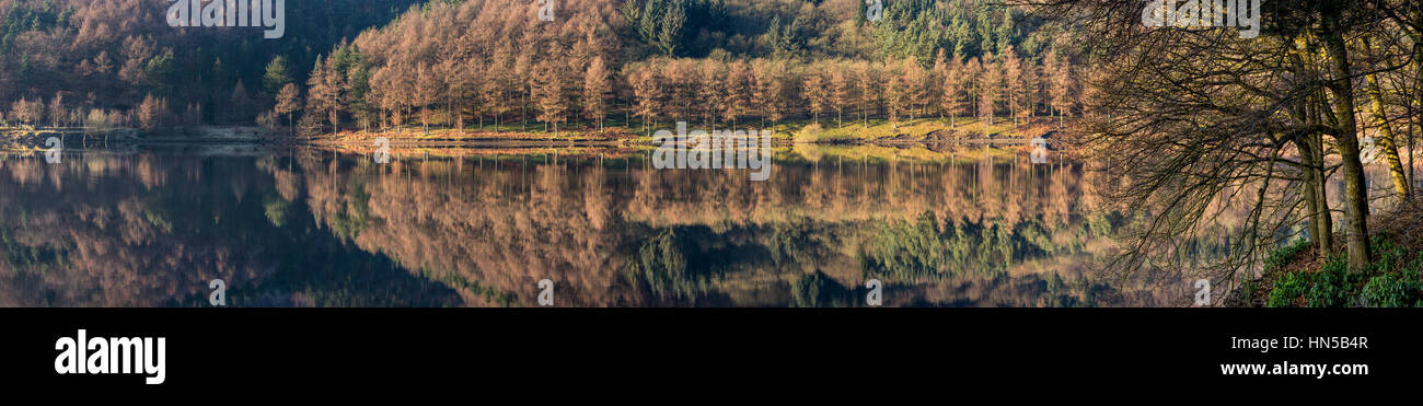 Ampio panorama della foresta si riflette nell'acqua ancora di Derwent serbatoio nel Peak District, Derbyshire, Inghilterra Foto Stock