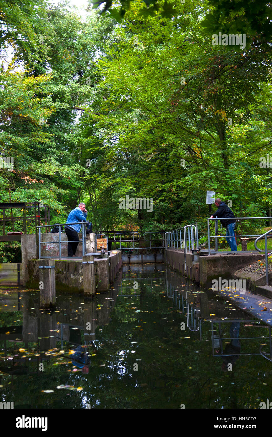 Lubbenau Brandenburg Germania. Azionati a mano in blocco la Spreewald Germania Foto Stock