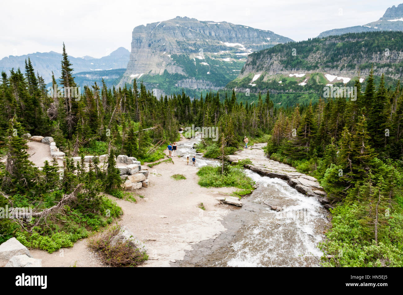 Il pranzo Creek e pesanti montagna Runner dall'andare-per-il-Sun Road nel Parco Nazionale di Glacier, Montana, USA. Foto Stock