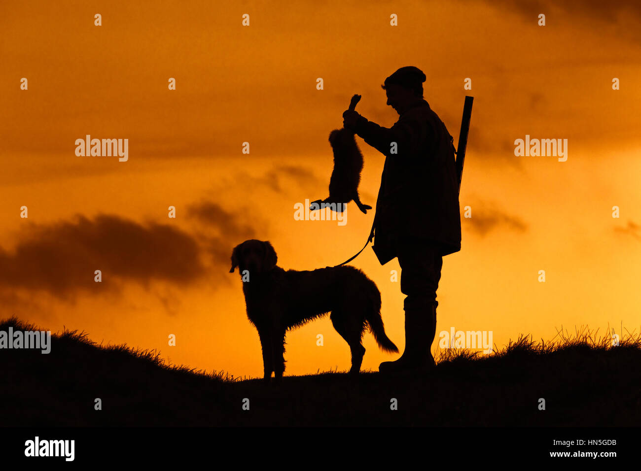 Hunter con la pistola holding shot brown lepre e Weimaraner cane da caccia stagliano tramonto Foto Stock