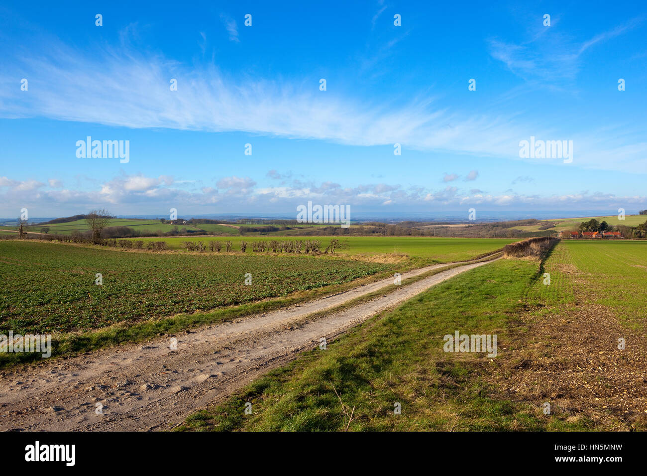 Un agriturismo via con una siepe di biancospino in un bellissimo inglese il paesaggio agricolo in patchwork campi sotto un cielo blu con wispy cloud in inverno Foto Stock