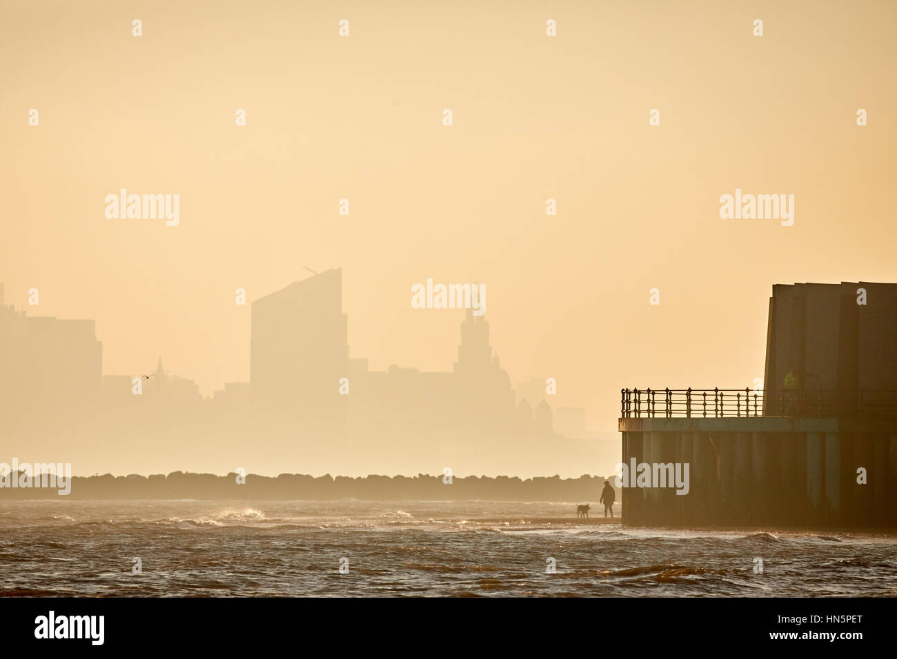 Cane a piedi di Liverpool Bay golden sunrise dalla nuova spiaggia di Brighton in Wallasey, Merseyside, Wirral, Inghilterra, Regno Unito guardando fuori per vedere oltre la città cento Foto Stock