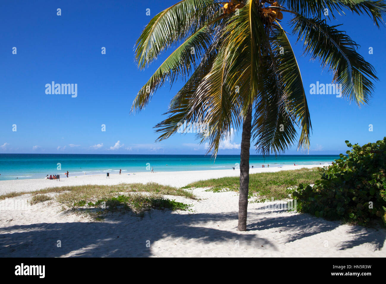 I turisti provenienti da tutto il mondo ammirare le belle spiagge di sabbia bianca di Varadero. Foto Stock