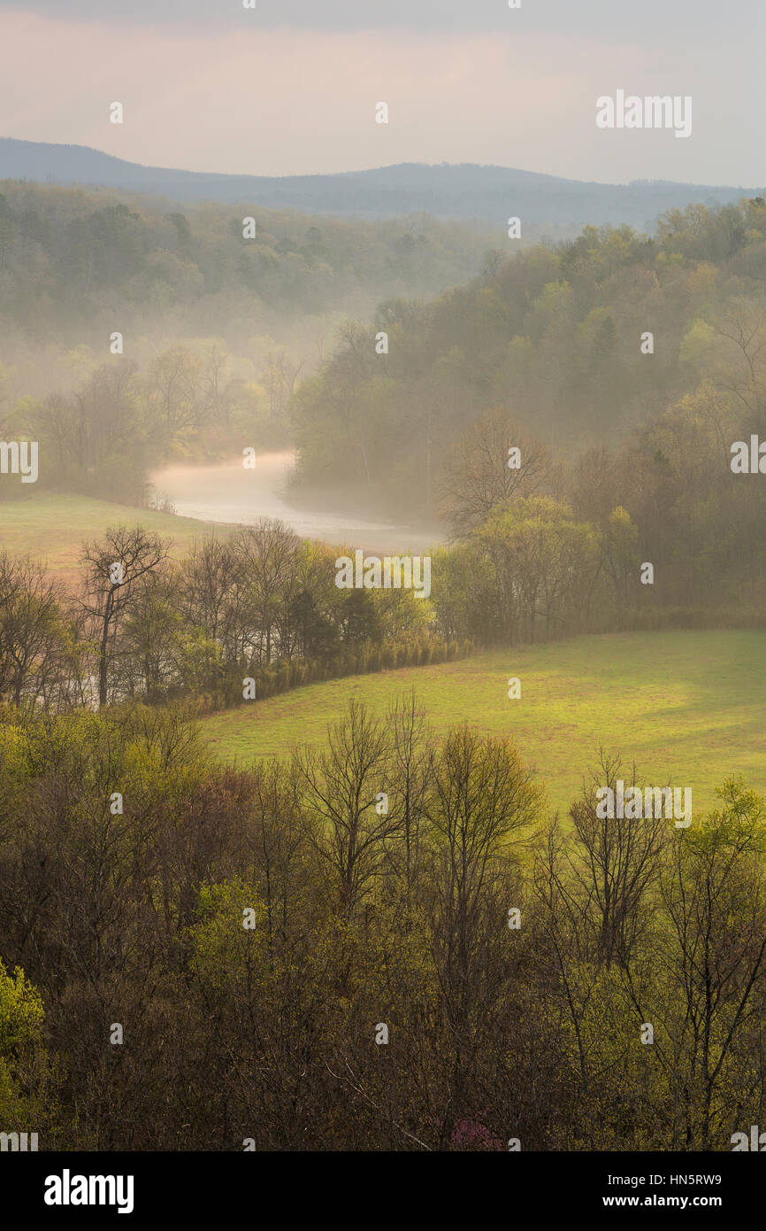 Il piccolo fiume Buffalo fluisce attraverso i monti Ozark di Arkansas in una nebbiosa mattina di primavera. Stati Uniti d'America Foto Stock