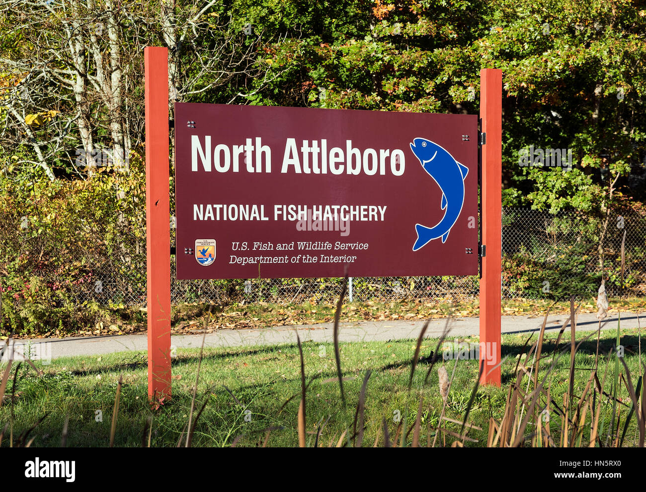 North Attleboro National Fish Hatchery, Massachusetts, STATI UNITI D'AMERICA. Foto Stock