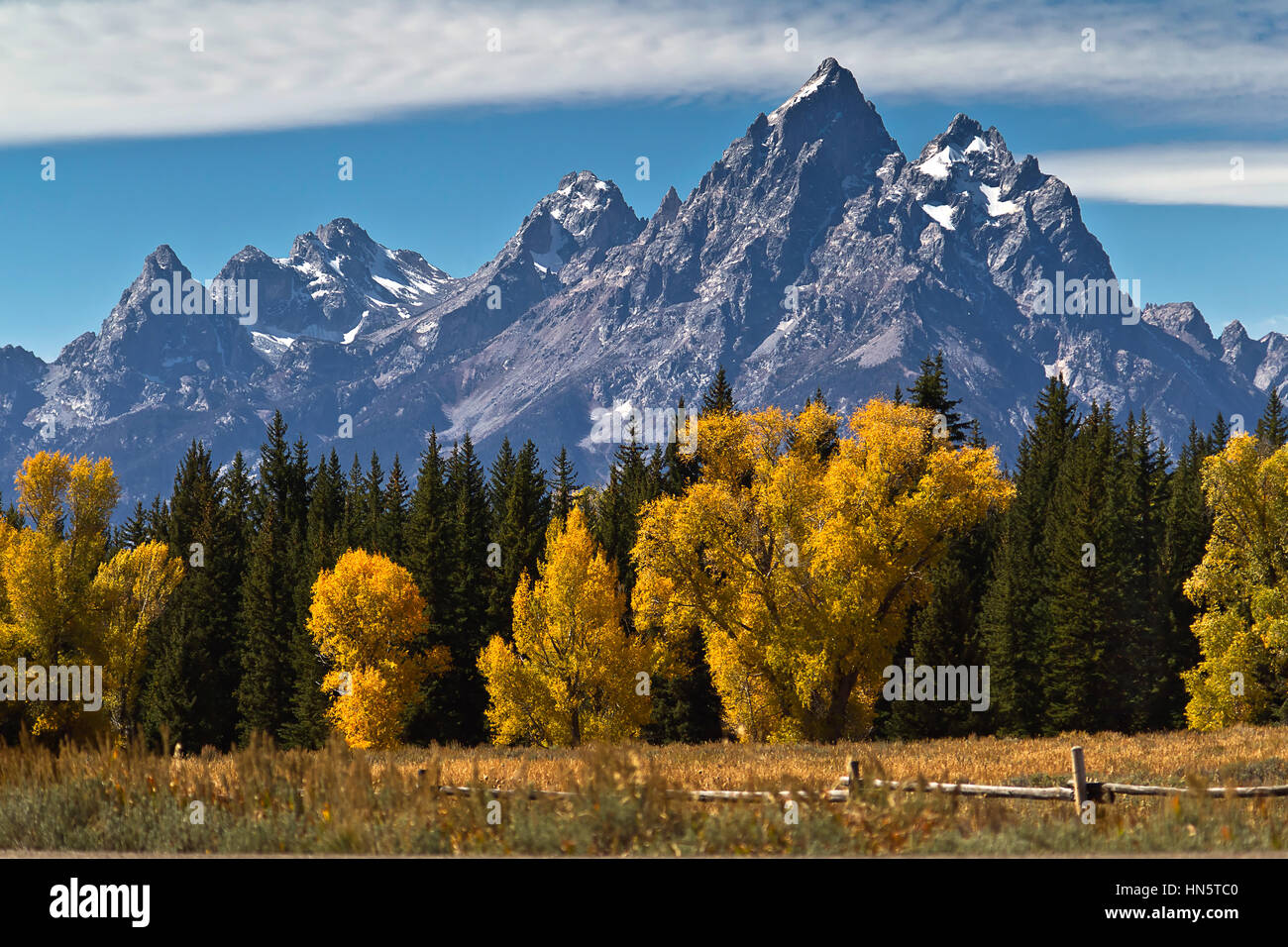 I colori dell'autunno nel Parco Nazionale di Grand Teton, Jackson, Wyoming USA Foto Stock
