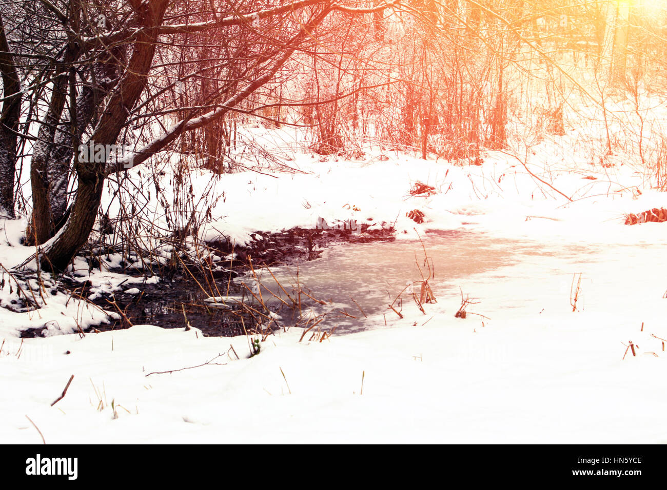 Paesaggio invernale. Neve e sporcizia nel parco. Scongelate le patch. Effetto del soft sun Foto Stock