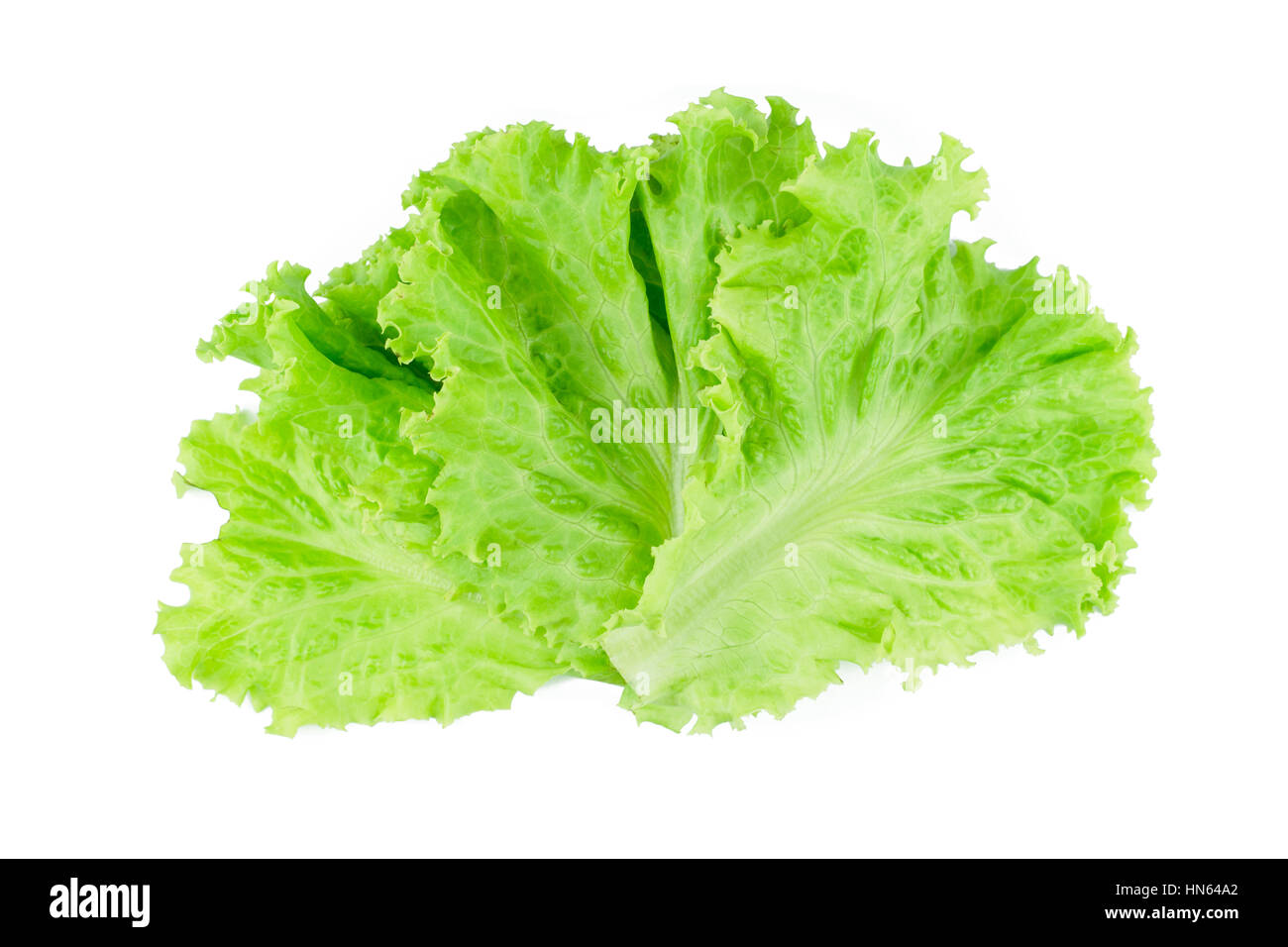 Foglia di insalata. La lattuga isolati su sfondo bianco Foto stock - Alamy