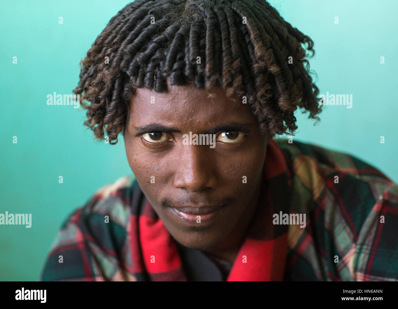 Ritratto di un etnia afar uomo con i tradizionali capelli ricci, regione di Afar, Semera, Etiopia Foto Stock