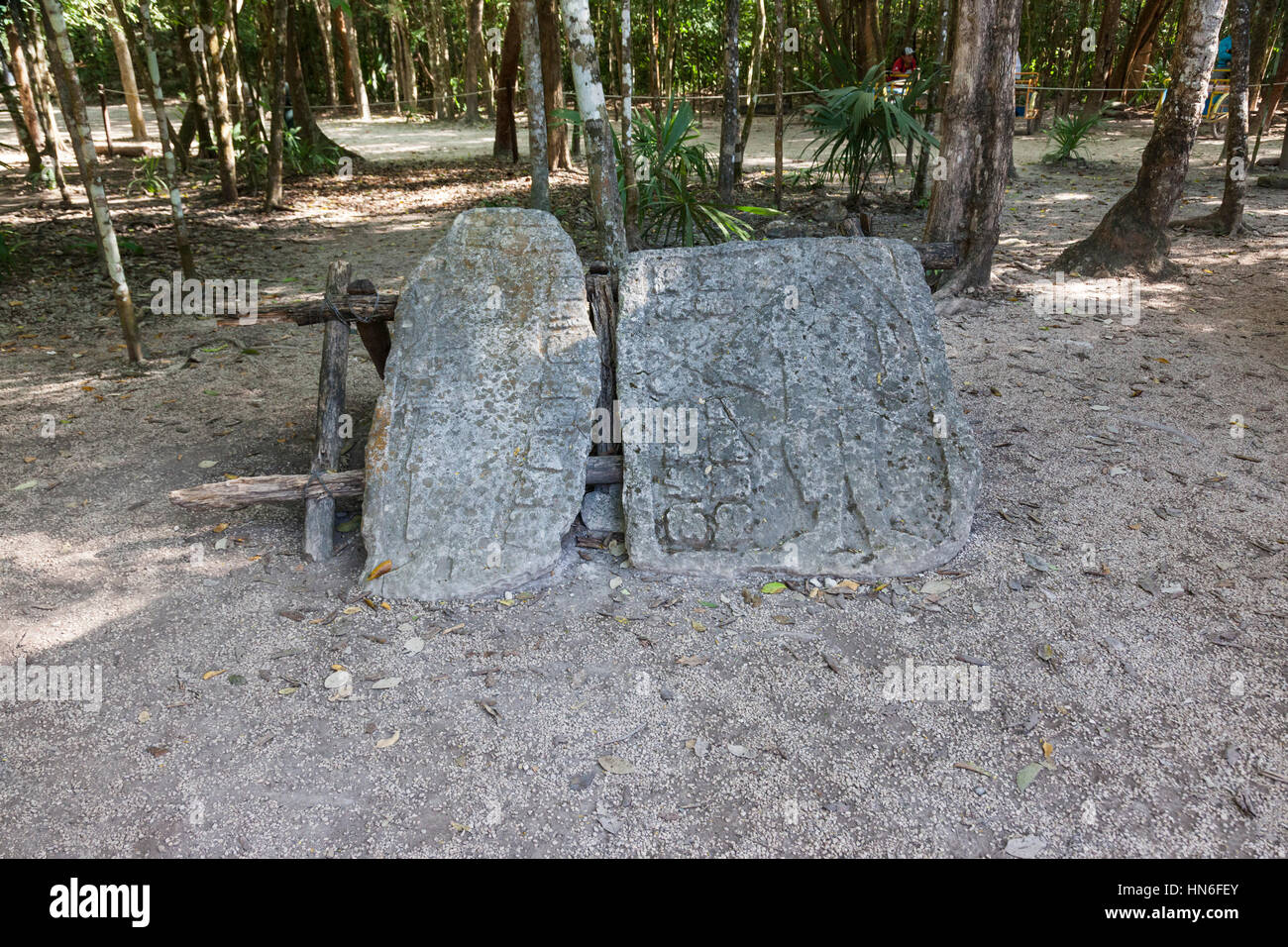 Manufatti in rilievo Maya di Coba presso il sito archeologico Maya di Coba, un'antica civiltà Maya. Penisola dello Yucatan, Quintana Roo, Messico Foto Stock