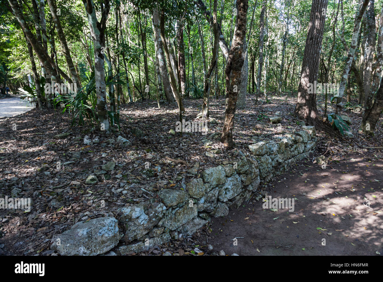 Vecchia strada maya a Coba un'antica città maya. Antica civiltà Maya, penisola dello Yucatan, stato messicano di Quintana Roo, Messico Foto Stock