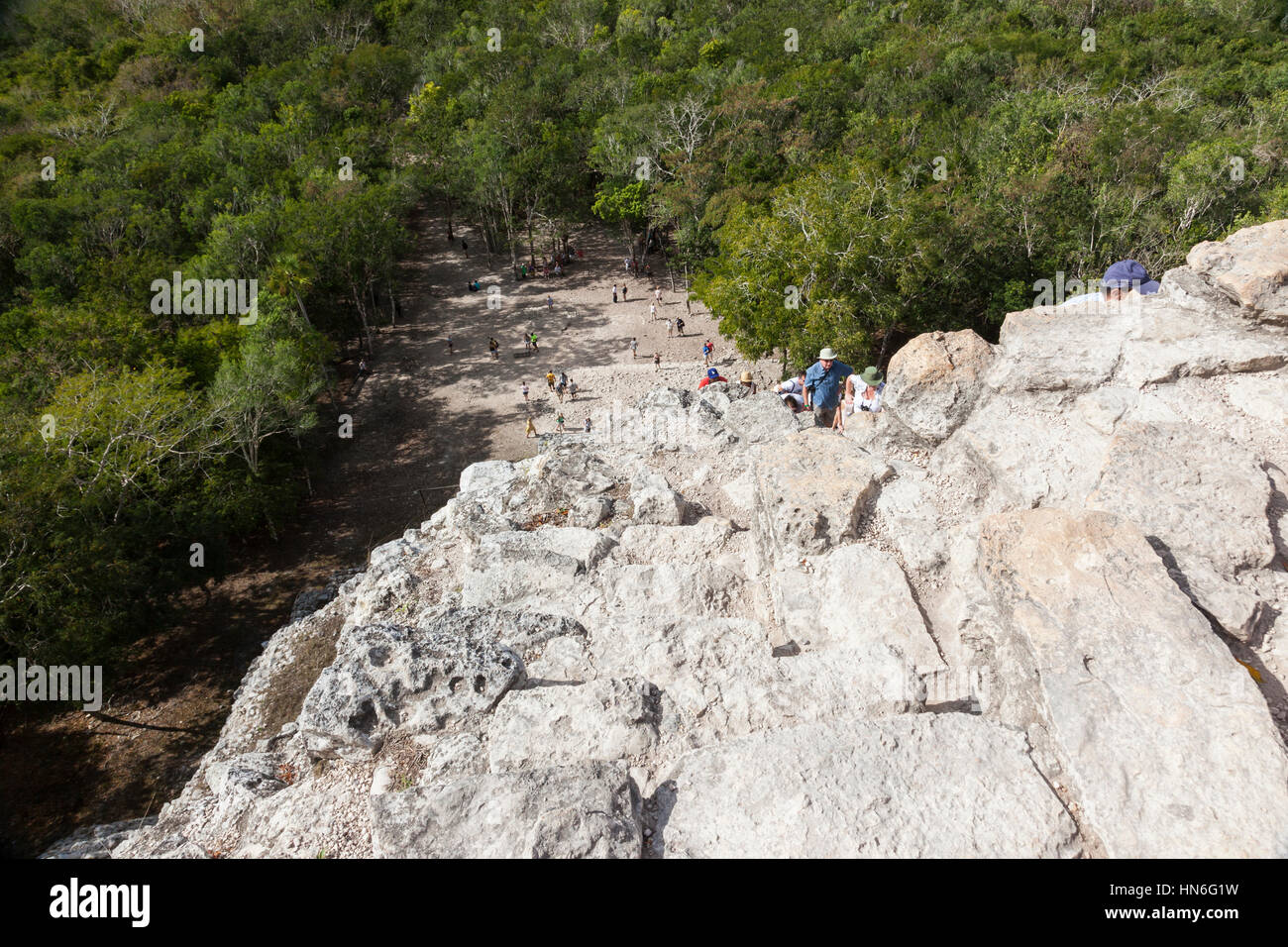 Vista aerea dalla cima di Nohoch Mul, la piramide del tempio, Coba, Antica civiltà Maya, Penisola dello Yucatan, Stato messicano di Quintana Roo, Messico Foto Stock