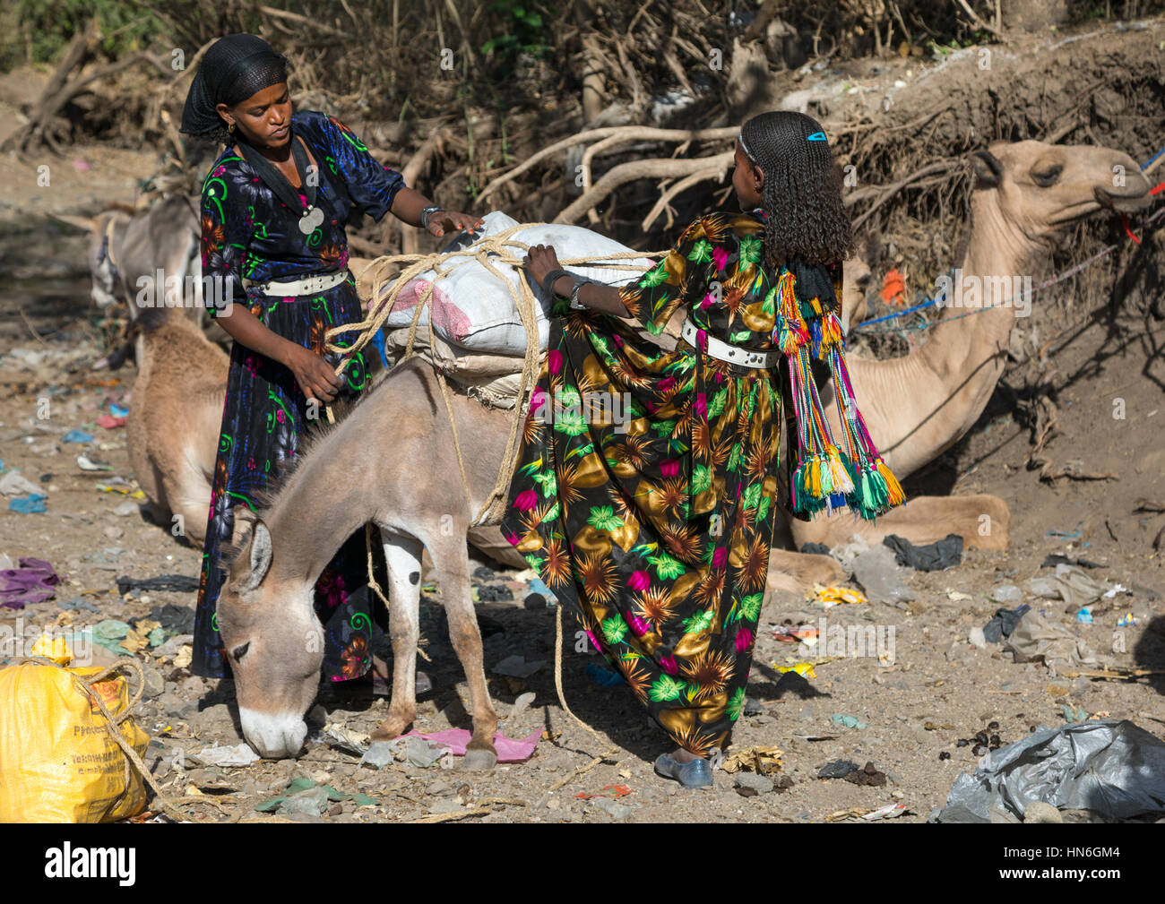 Donne Oromo caricamento di un asino sul mercato, Amhara Region, Senbete, Etiopia Foto Stock