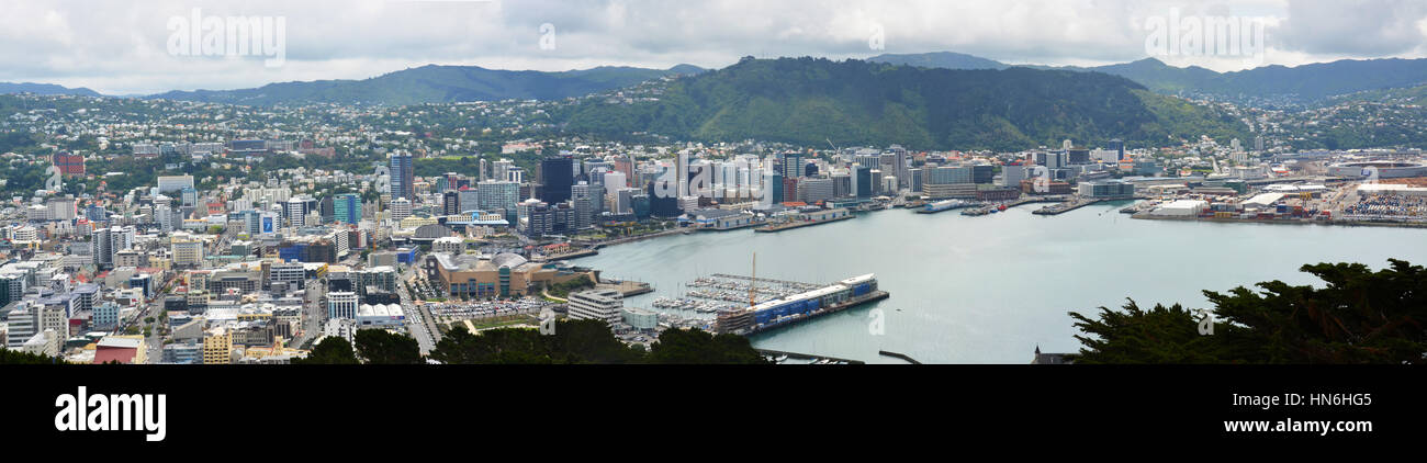 Wellington, Nuova Zelanda - 18 Novembre 2013: città, Porto & waterfront panorama su una giornata di primavera in Nuova Zelanda da Oriental Bay. Foto Stock