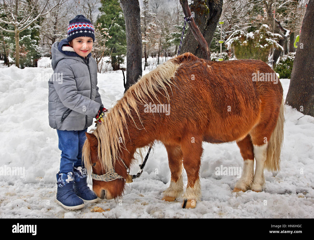 Ragazzino con un pony a Ninemia Bungalows Resort, Potamia Valley, tra Voutyro e Klafsi villaggi, Evrytania, Grecia centrale. Foto Stock