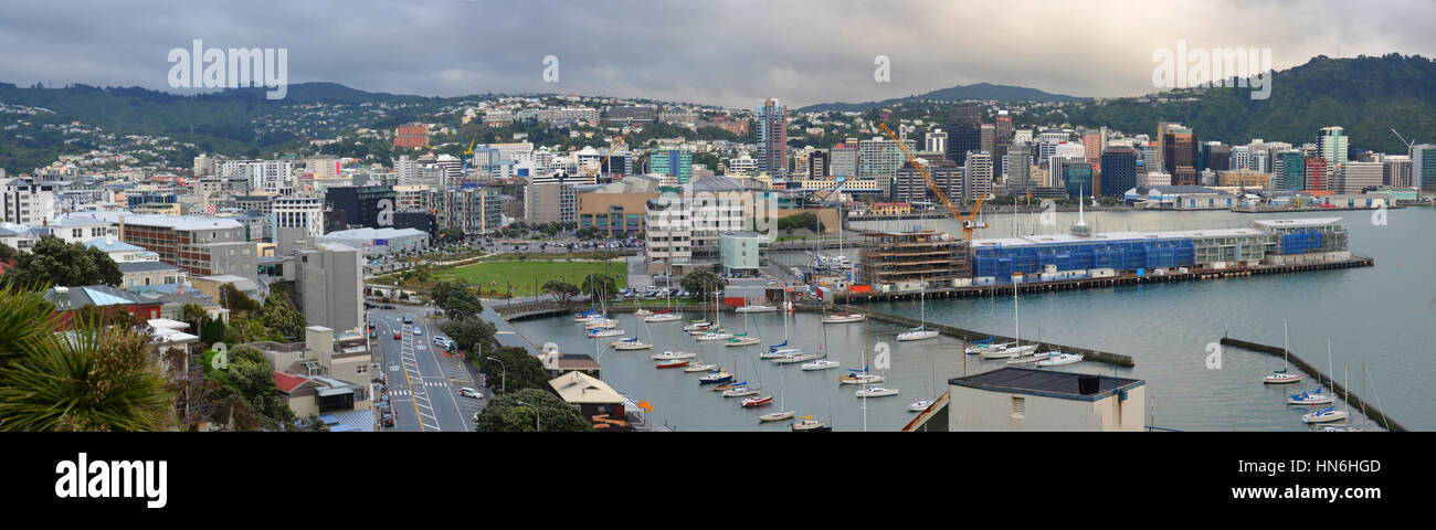 Wellington City Panorama da Oriental Bay in mattina presto, Nuova Zelanda Foto Stock