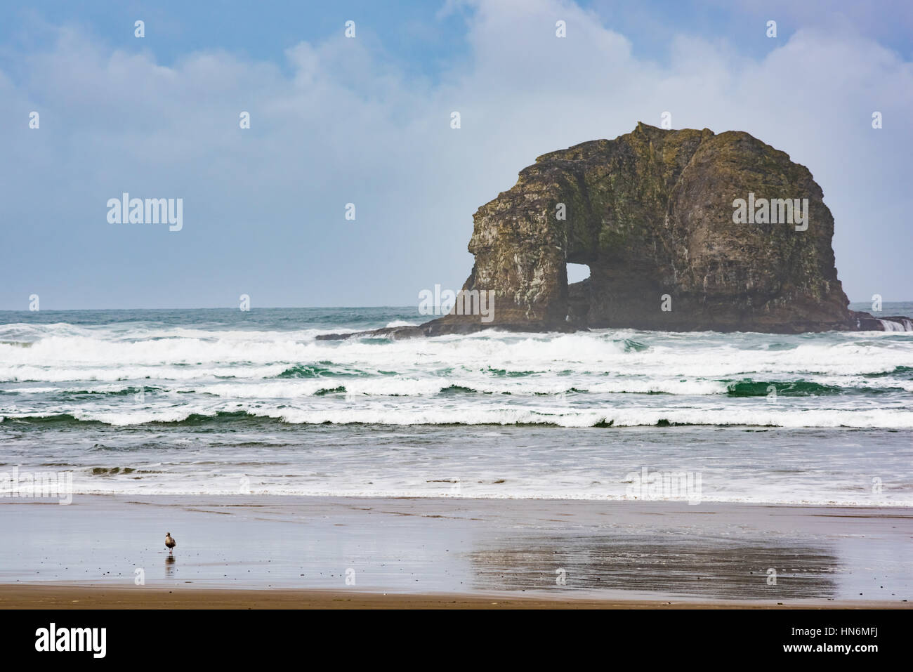 Uno degli scogli gemelli in Rockaway Beach Oregon durante coperto misty foggy meteo in oceano pacifico Foto Stock