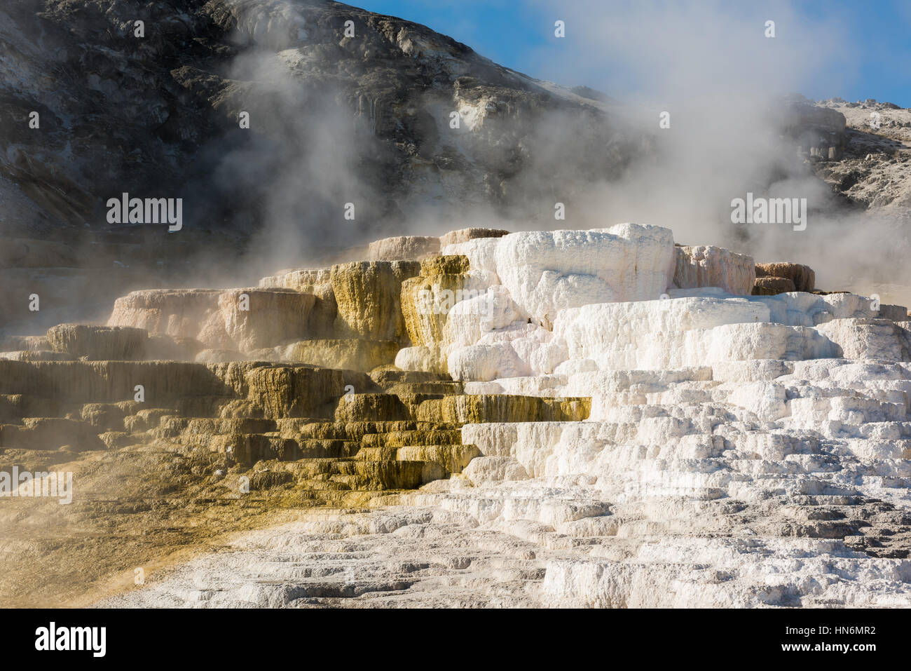 Mammoth Hot Springs terrazze di travertino nel Parco Nazionale di Yellowstone con vapore e la fase piscine Foto Stock