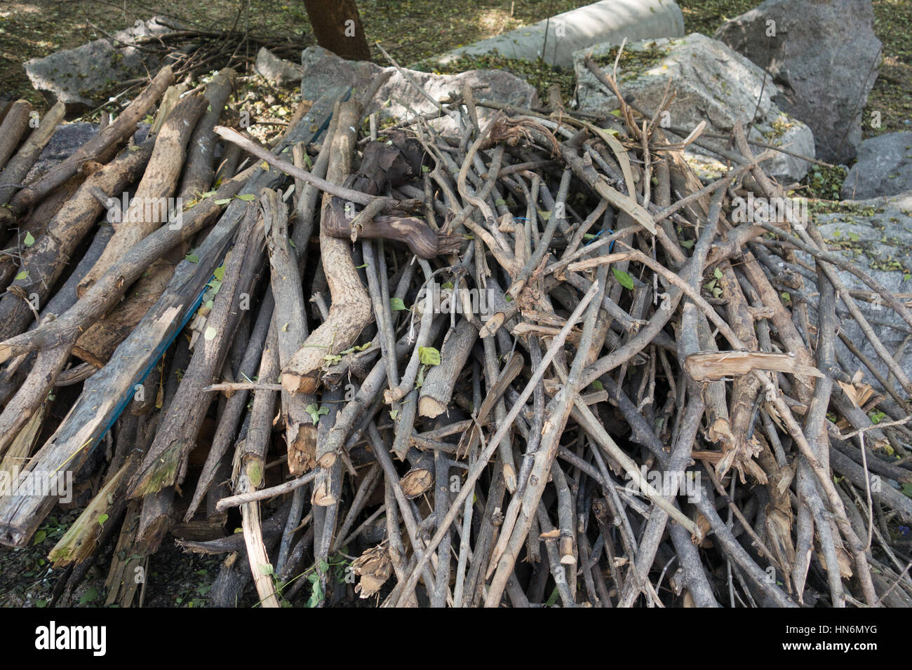 Un mucchio di legna secca a terra Foto Stock