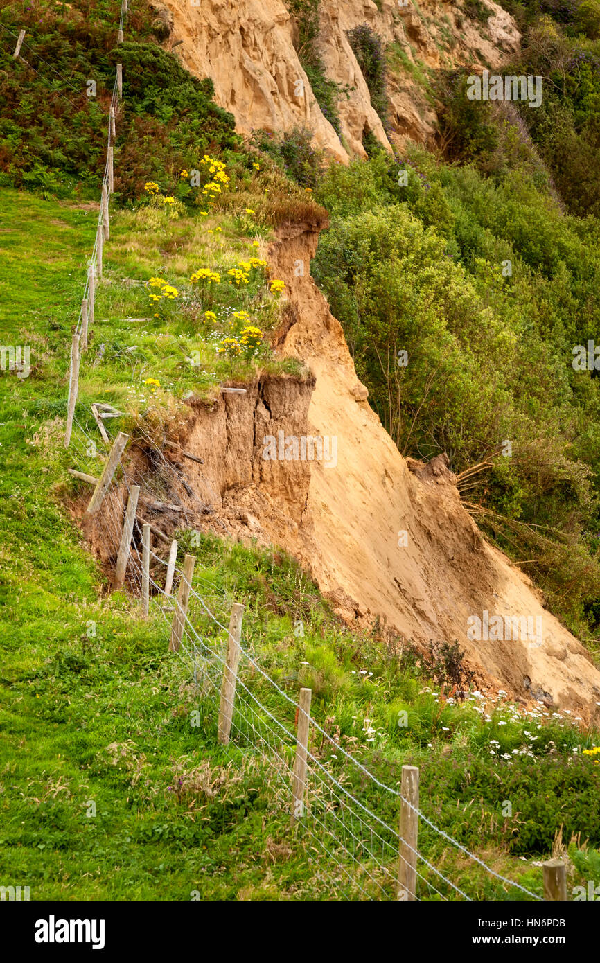 Erosione di prendere posto al di sotto di pali da recinzione lungo la costa sud-ovest percorso nel Dorset, Inghilterra. Foto Stock