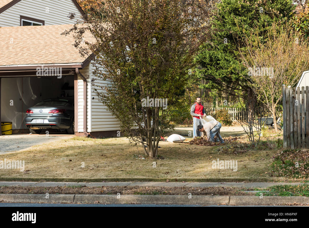 Fairfax, Stati Uniti d'America - 24 Novembre 2016: due persone la raccolta di foglie cadute in sacchi durante l'autunno in quartiere Foto Stock