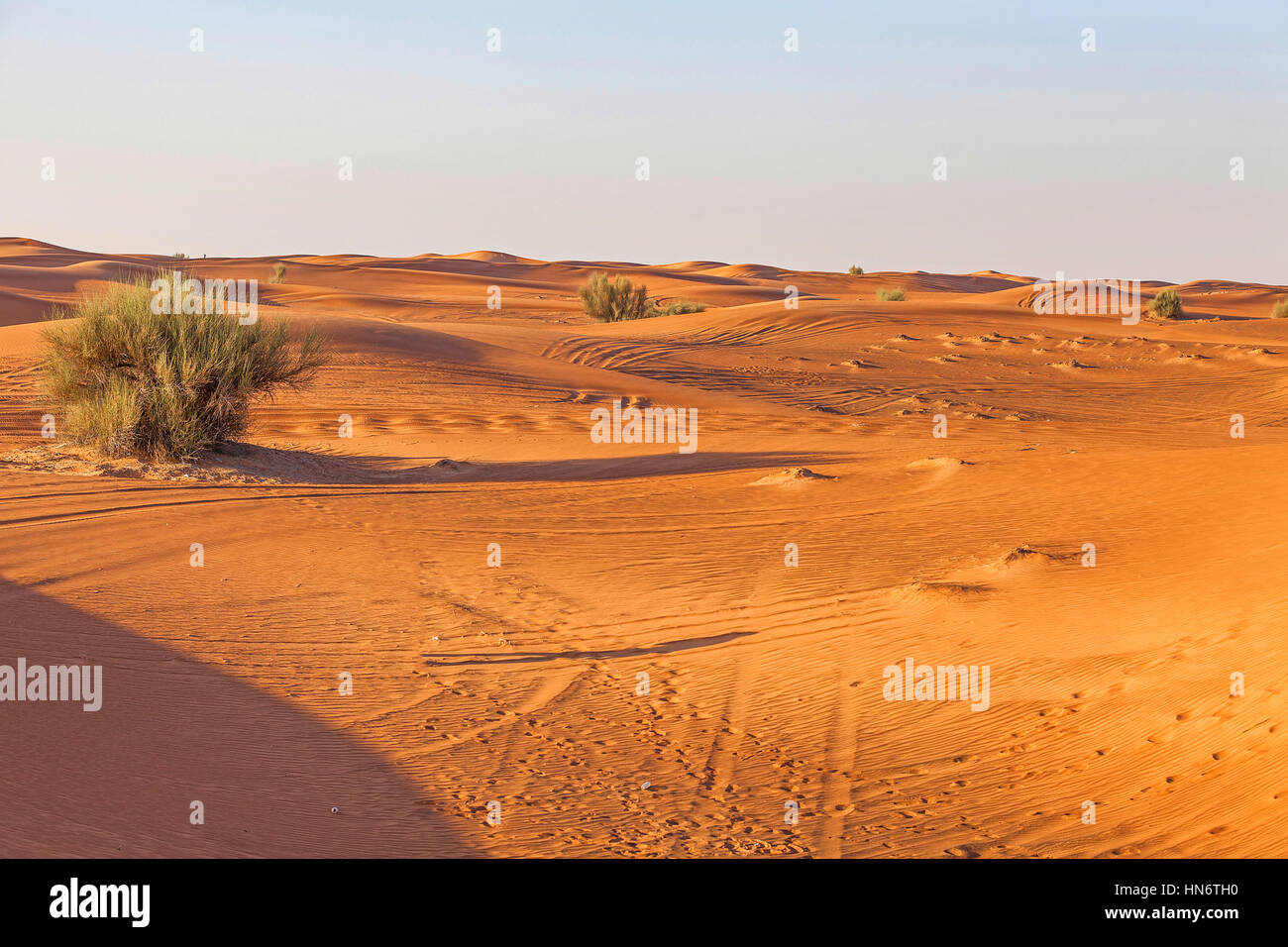 Deserto, Emirati Arabi Uniti Foto Stock