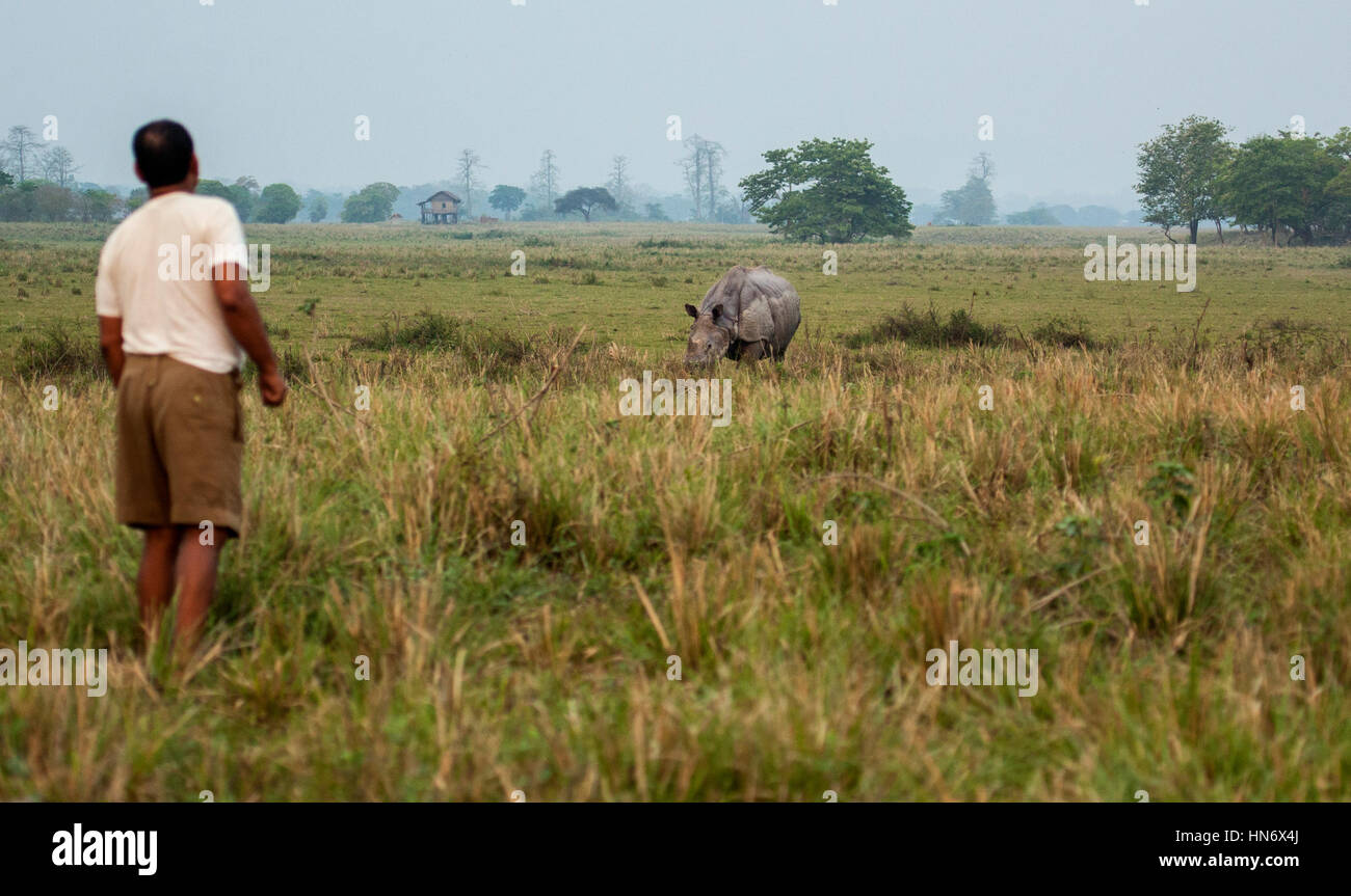 Il conflitto uomo animale Foto Stock
