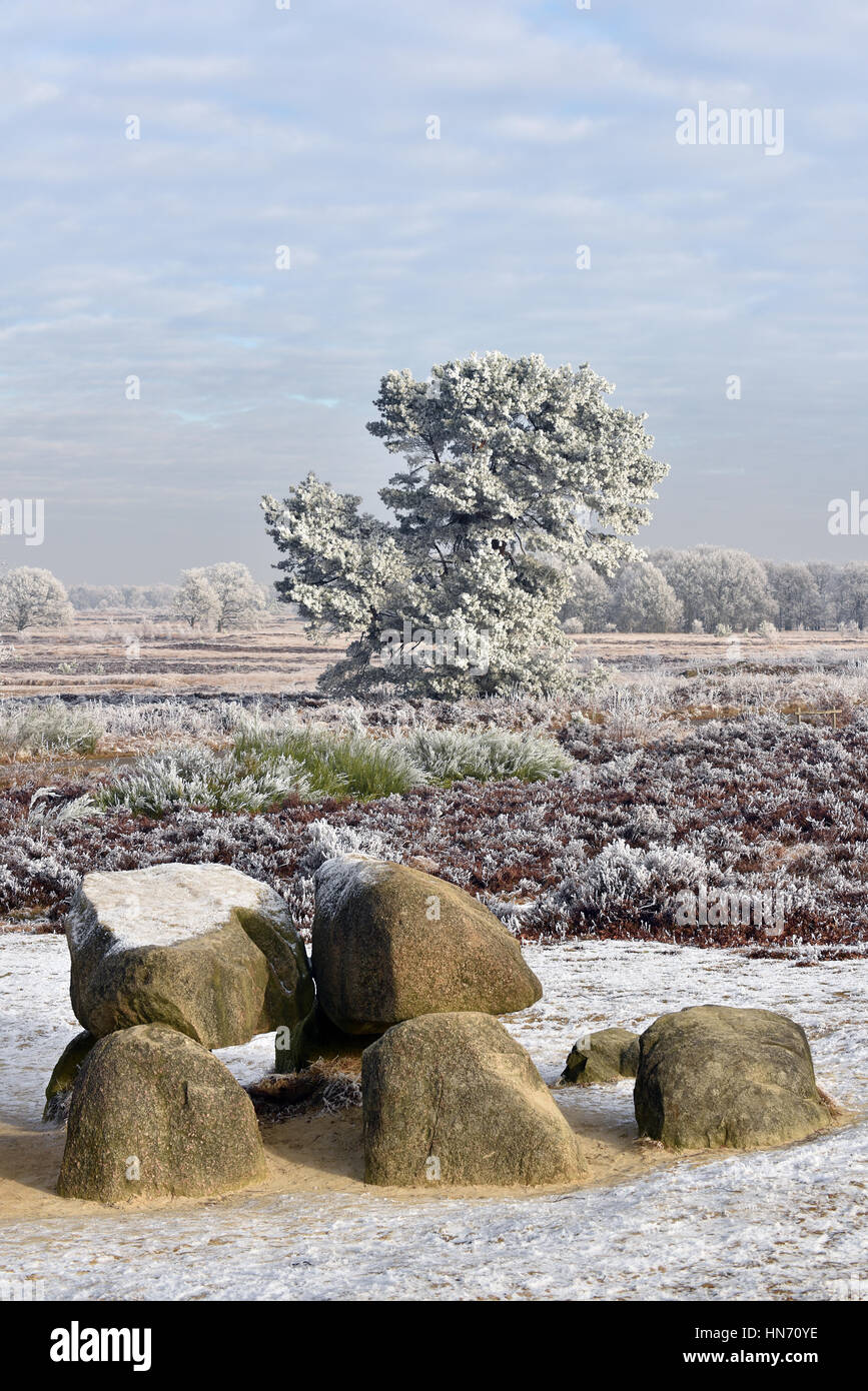Parte di una antica tomba megalitica in Drenthe, Paesi Bassi Foto Stock