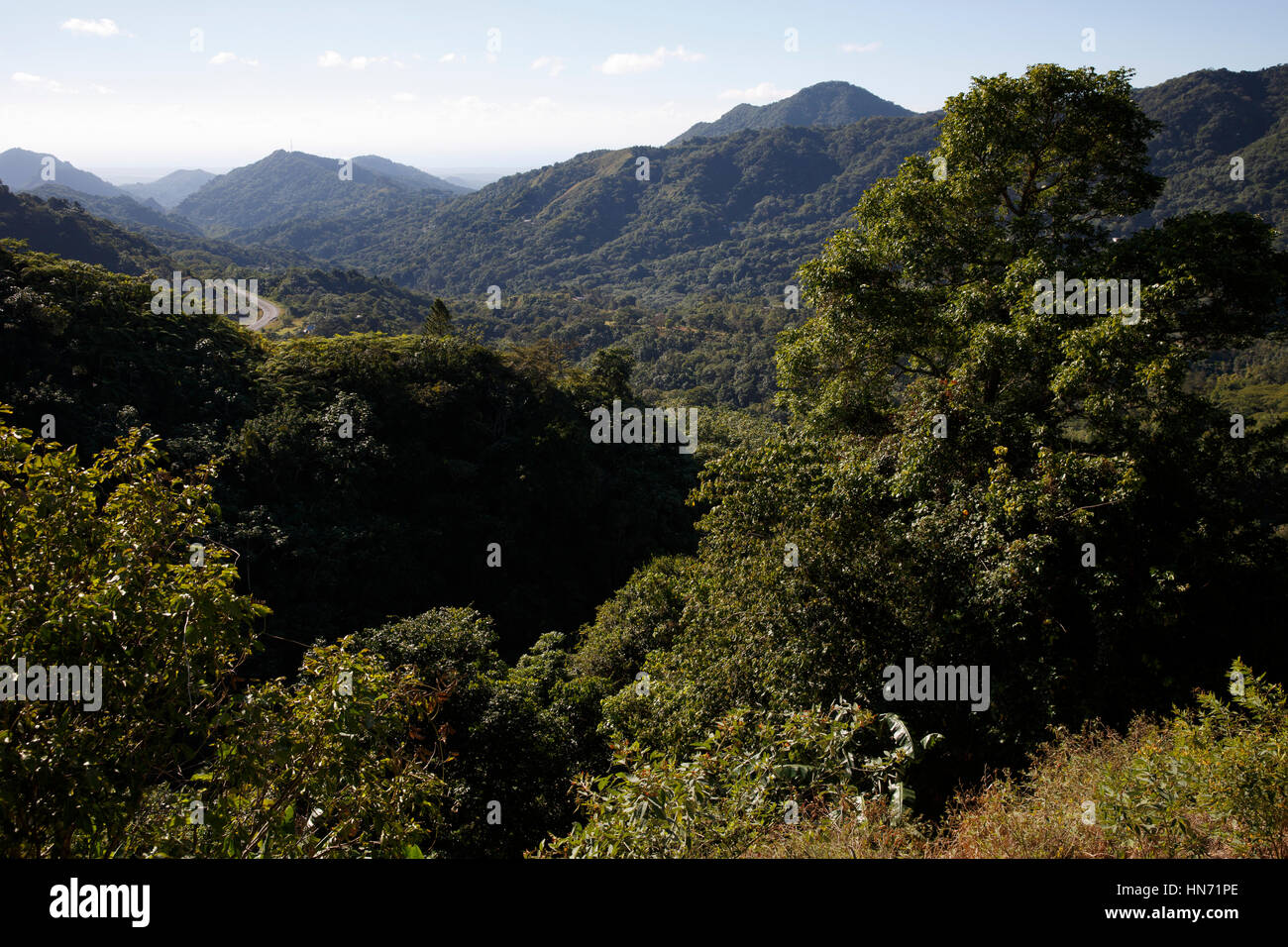 Paesaggio panoramico, montagne, foreste, highlands centrali, regione montagnosa, Puerto Rico Foto Stock