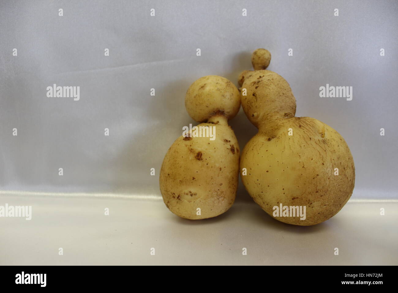 Persone di patate nell'amore! Famiglia di patate di 2 numero 2 di 47 Foto Stock