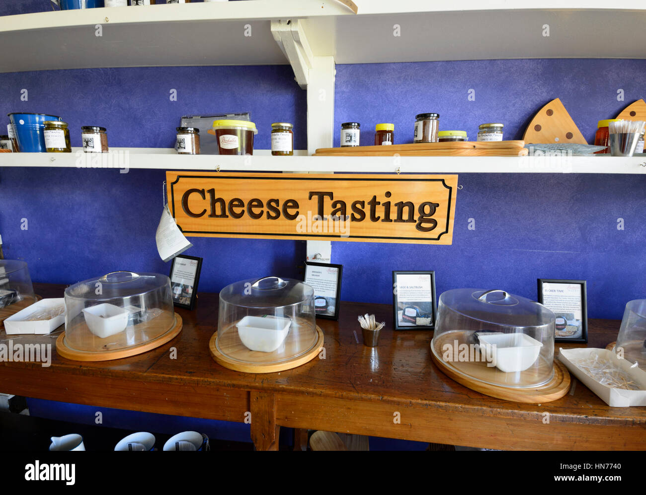 Degustazione di formaggi il display al caseificio Bodalla Shed, Nuovo Galles del Sud, Australia Foto Stock