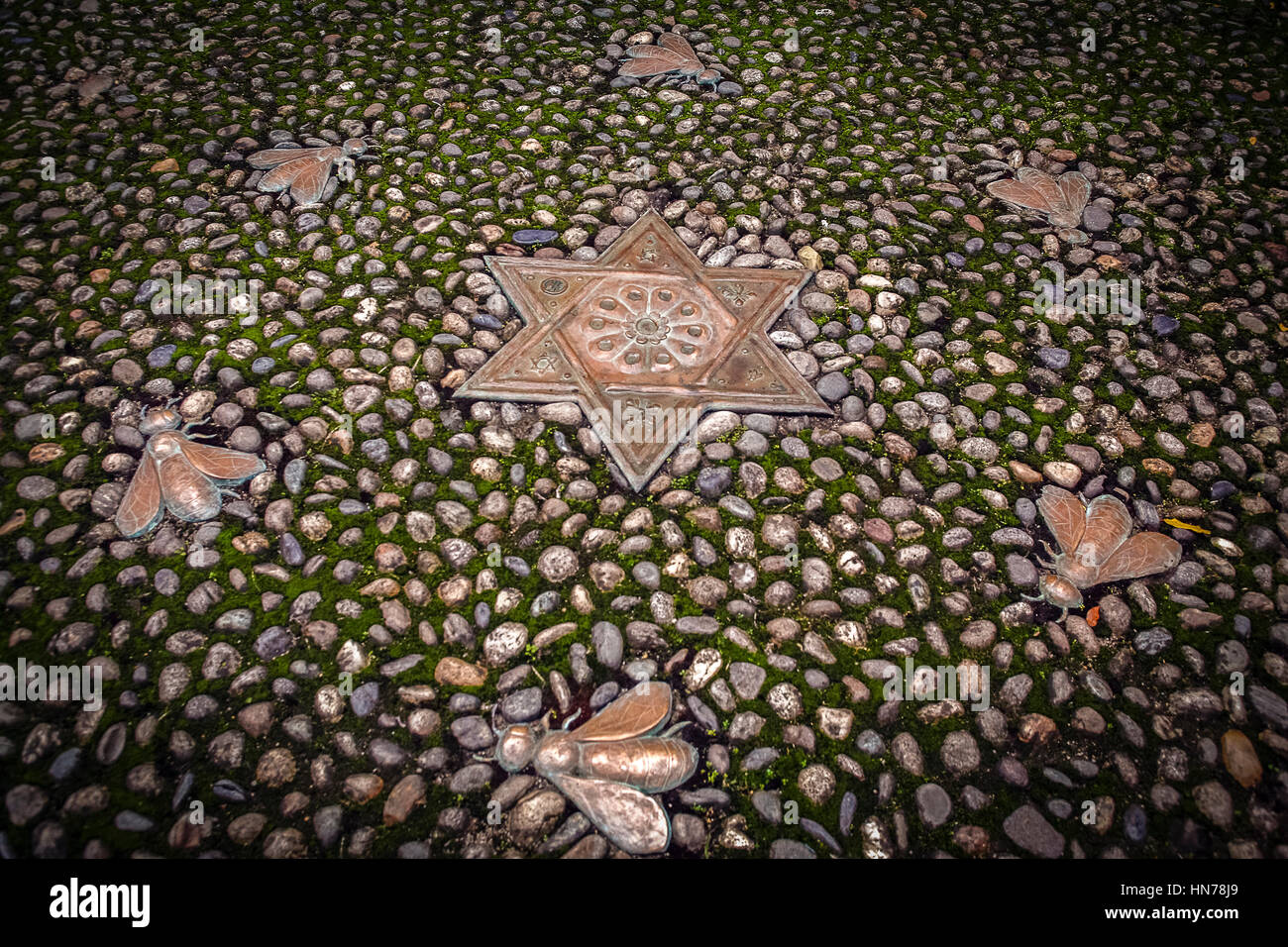 Italia Piemonte Casale Monferrato: Sinagoga ebraica il Museo Ebraico di bee yard artisti Jessica Carroll e Aldo Mondino, nel 2002, ispirata alla stella di Davide incise in un antica moneta coniata in una comunità ebraica nel Maghreb, hanno creato una grande stella bronze circa sei api corteggiare la stella Foto Stock
