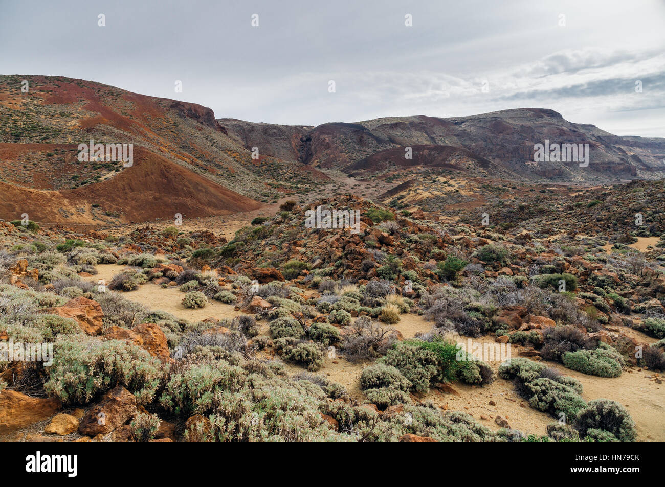 Arido paesaggio del Parco Nazionale del Teide, Tenerife, Spagna Foto Stock