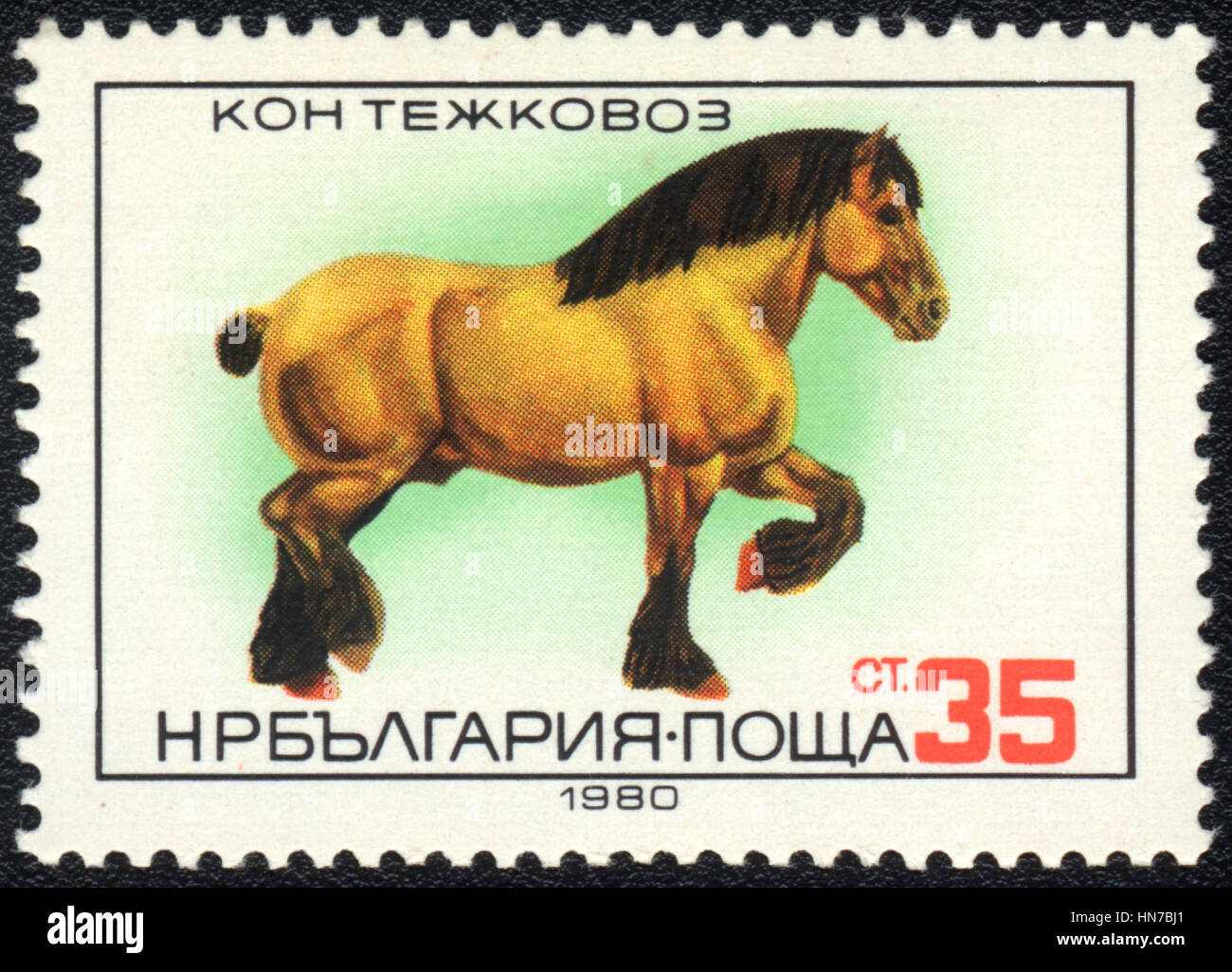 Un francobollo stampato in Bulgaria mostra un progetto di pesanti, cavallo di razza , circa 1980 Foto Stock
