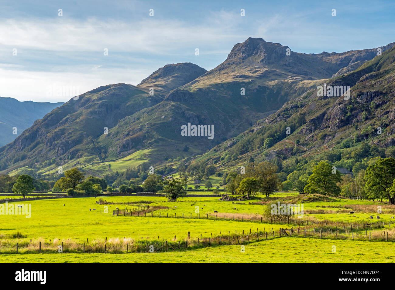 The Langdale Pikes alla sommità del grande Langdale Valley nel Parco Nazionale del Distretto dei Laghi, Cumbria Foto Stock