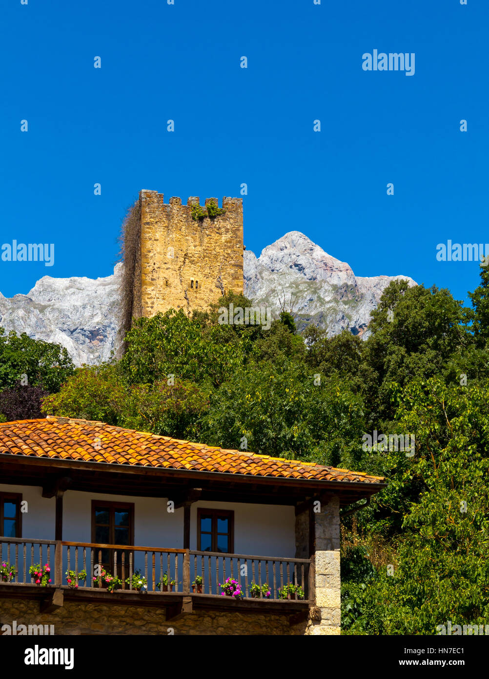 Torre medievale di Mogrovejo un villaggio di montagna nel Parco Nazionale di Picos de Europa Cantabria Spagna settentrionale Foto Stock