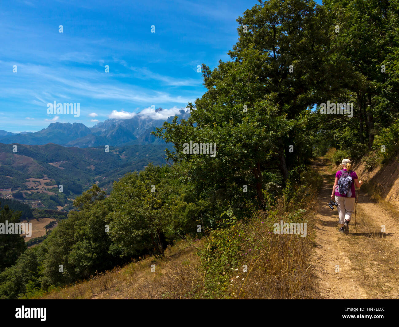 Donna che cammina nel paesaggio di montagna vicino a Salarzon nel Parco Nazionale Picos de Europa in Cantabria Spagna settentrionale Foto Stock