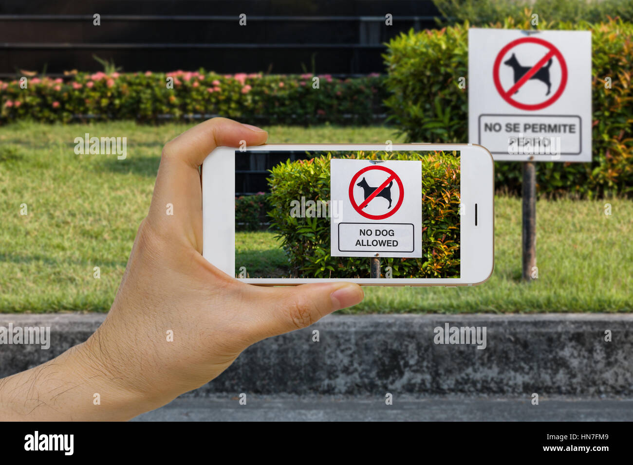 Concetto di IOT dello smartphone per tradurre il testo sul segno da Spagnolo a Inglese utilizzando in tempo reale traduzione lingua augmented reality, AR, app. Foto Stock
