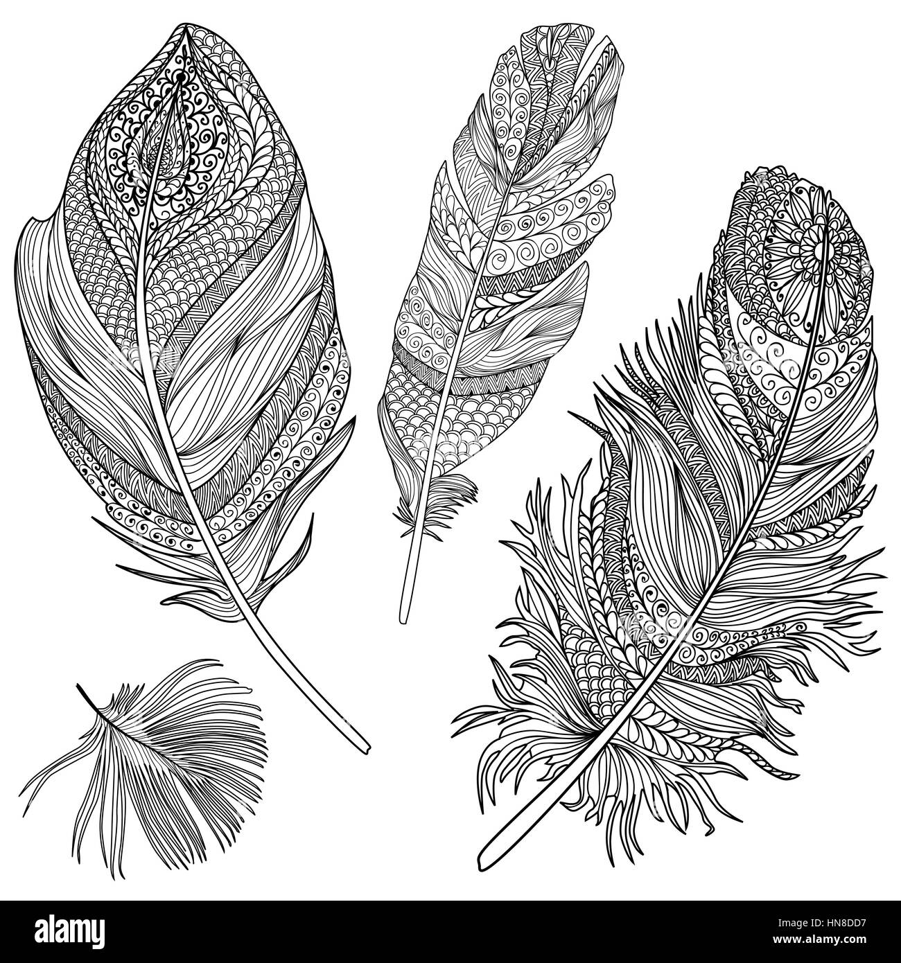 Set di piuma. vettore piume su uno sfondo bianco. vintage tribali collezione piuma. serie di doodle giù. Illustrazione Vettoriale