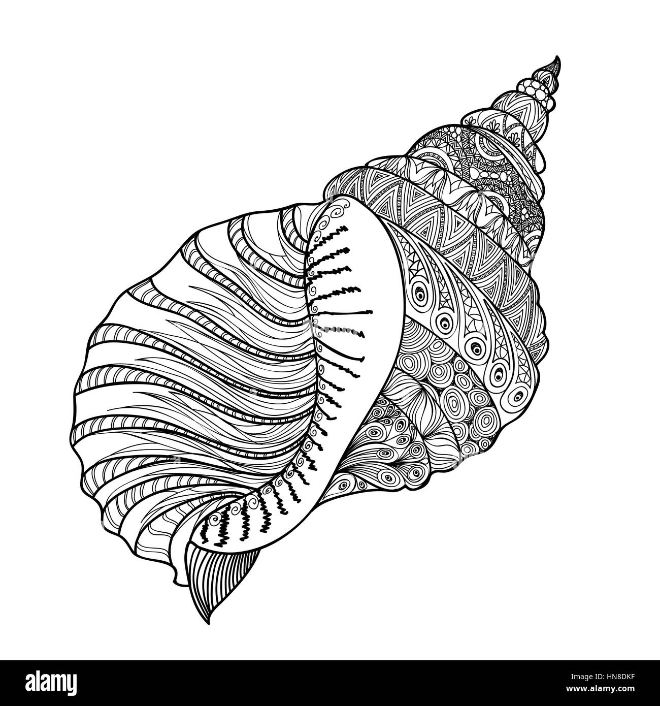 Seashell isolato su sfondo bianco. disegnati a mano doodle illustrazione vettoriale. Illustrazione Vettoriale