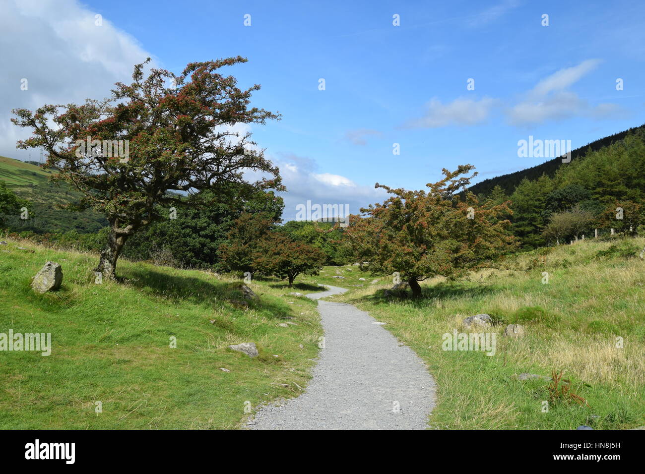 Aber Falls Trail, il Galles del Nord Foto Stock
