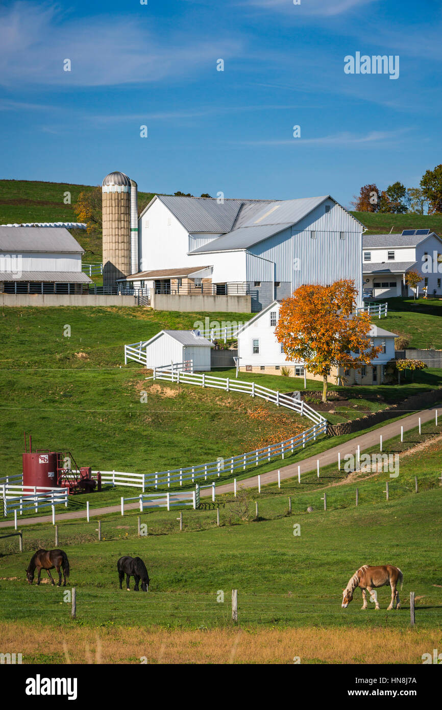 Una fattoria Amish con casa, granaio e cavalli nei pressi di fascino, Ohio, Stati Uniti d'America. Foto Stock