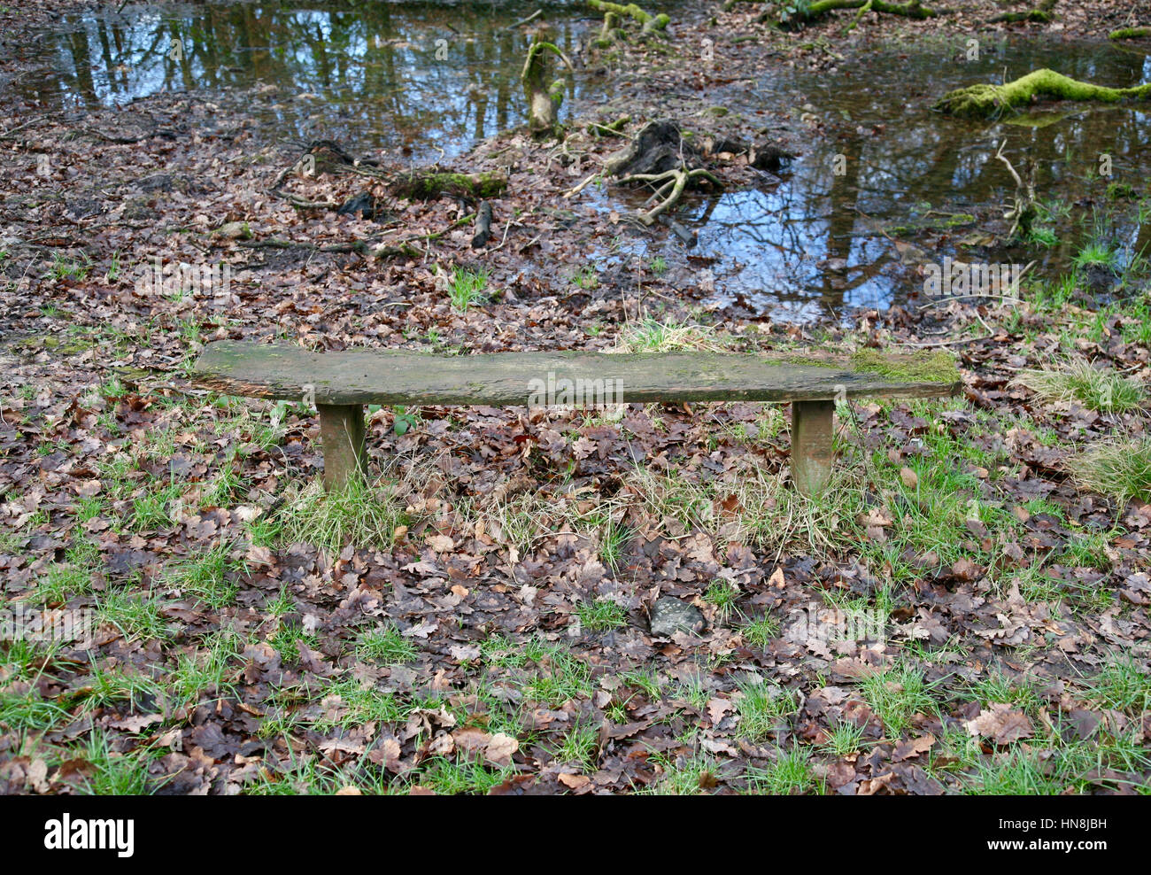 Haigh Country Park, Wigan, Lancashire Foto Stock