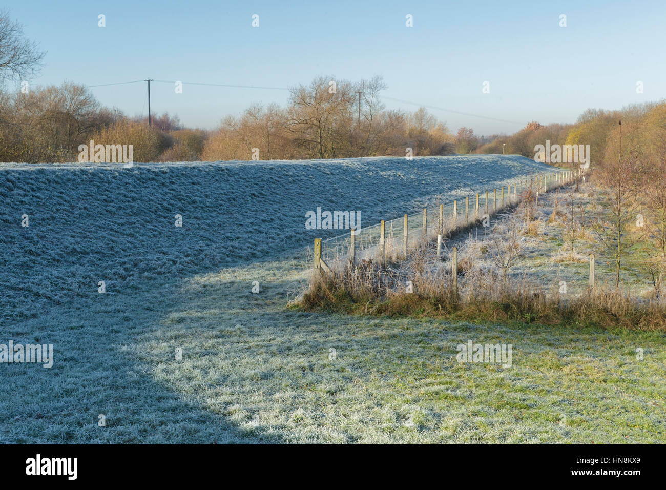 Vista di smerigliato banca erbosa, recinzione e alberi, dal fiume Aire, Allerton Bywater, Inghilterra, Novembre Foto Stock