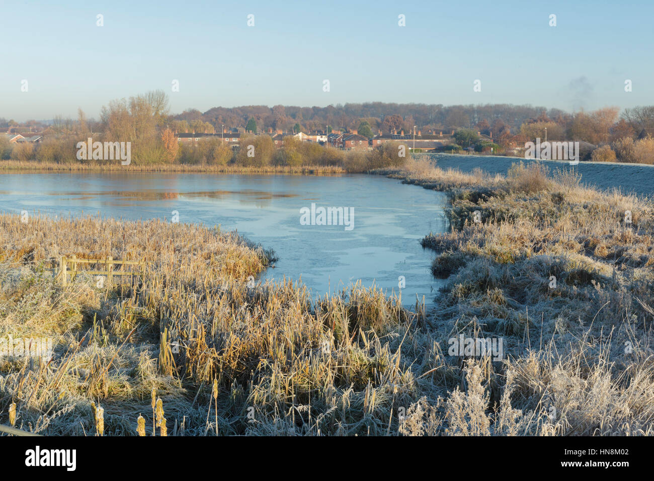 Vista di Congelato stagno con erbe smerigliato e alloggiamento distante station wagon, Allerton Bywater, Inghilterra, Novembre Foto Stock