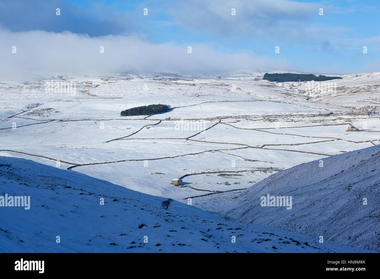 Coperta di neve i campi, muri in pietra a secco e il campo granaio di Darnbrook vicino Littondale, Yorkshire Dales National Park, North Yorkshire, Regno Unito Foto Stock