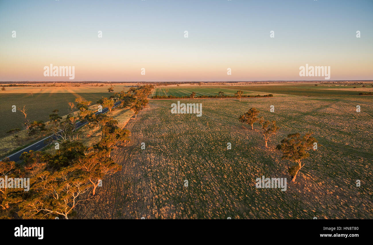 Il verde dei prati con alberi sparsi al tramonto - bassa vista aerea Foto Stock