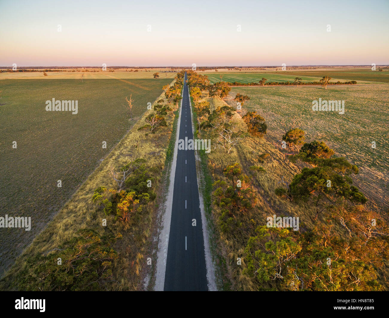 Lunga strada diritta in zona rurale tra il verde di prati e pascoli al tramonto - vista aerea Foto Stock