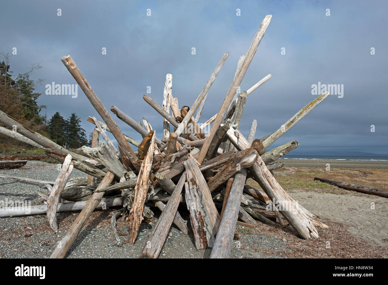 Legname flotsam sulla spiaggia pubblica a Rathtrevour Spiaggia Parco Provinciale BC, impilati sulle sabbie come una lunga scultura in legno. Foto Stock