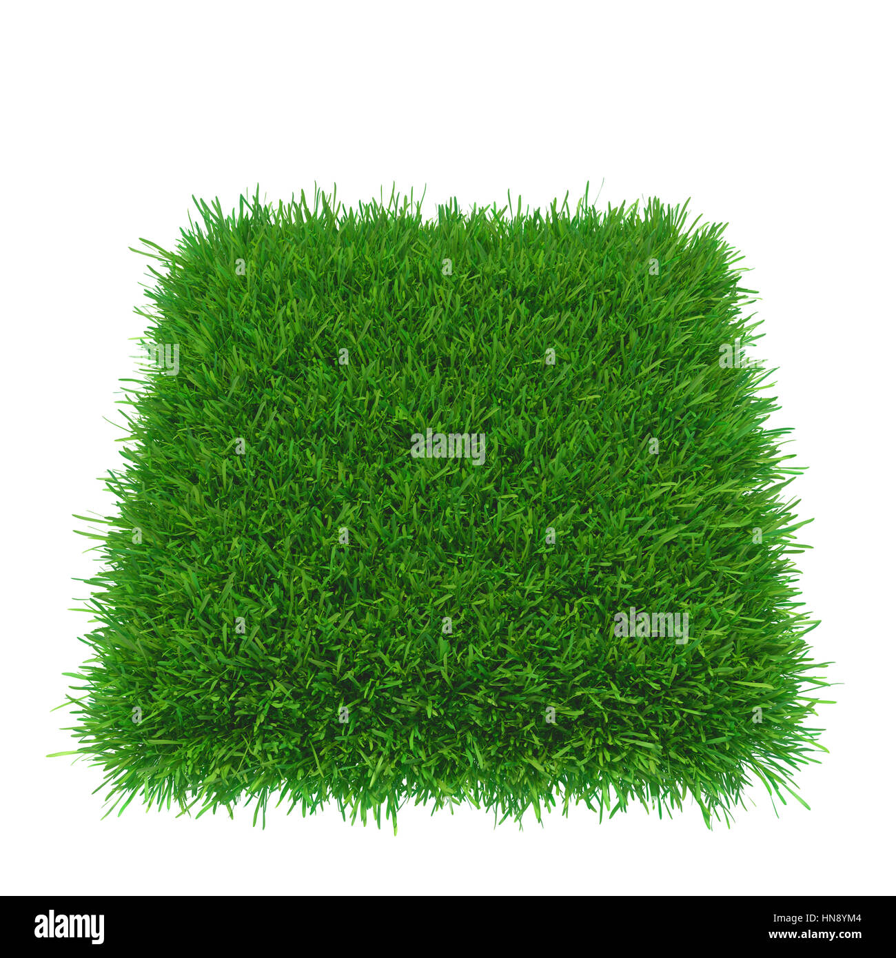 Quadrato di erba verde campo su sfondo blu Foto Stock